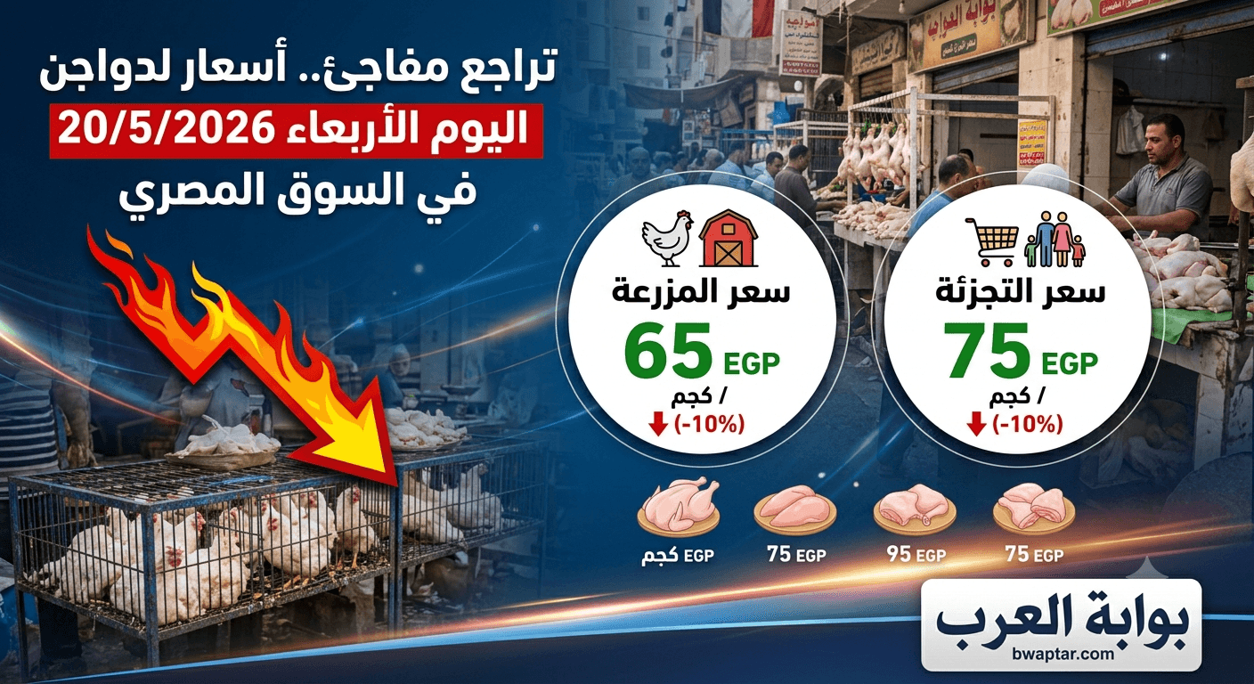 الدواجن اليوم الأربعاء 20/5/2026 في السوق المصري