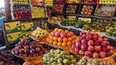 أسعار الفاكهة 13 سبتمبر