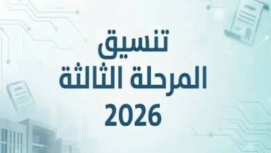 نتيجة المرحلة الثالثة 2026 برقم الجلوس